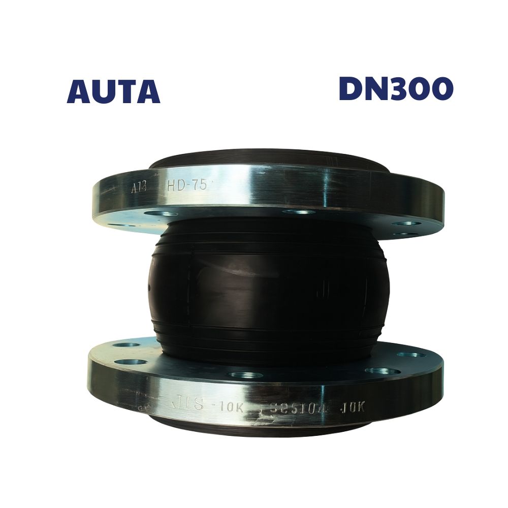 Khớp nối mềm AUTA DN300