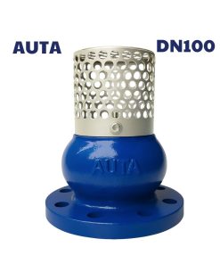 Rọ bơm AUTA DN100