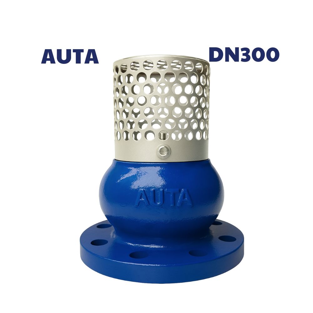 Rọ bơm AUTA DN300
