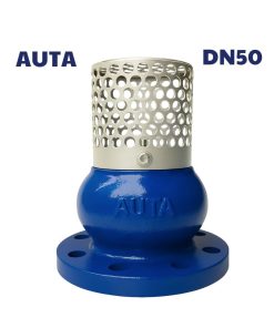 Rọ bơm AUTA DN50