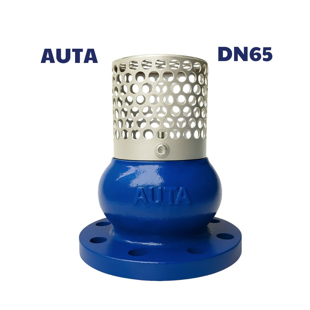 Rọ bơm AUTA DN65