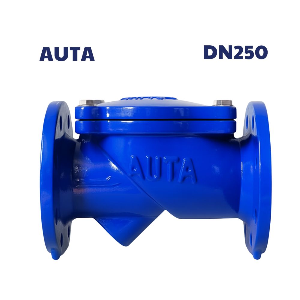 Van 1 chiều lá lật AUTA DN250
