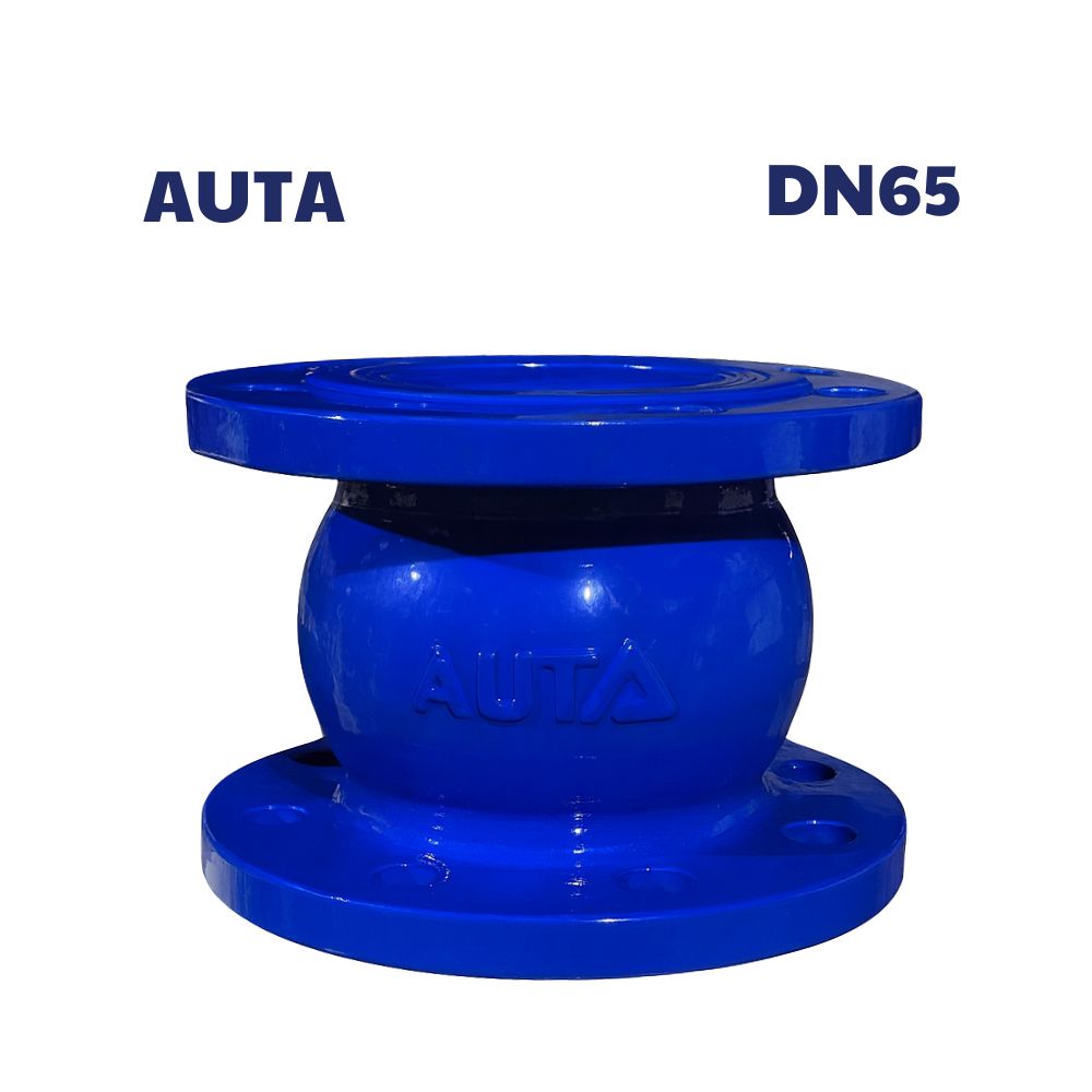 Van 1 chiều lò xo AUTA DN65