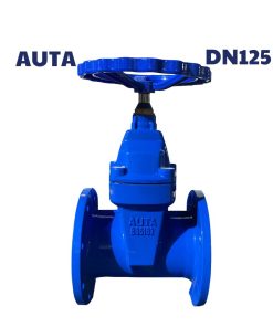 Van cổng ty chìm AUTA DN125