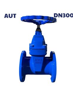 Van cổng ty chìm AUTA DN300