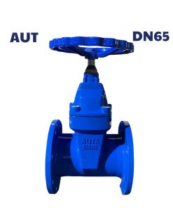 Van cổng ty chìm AUTA DN65