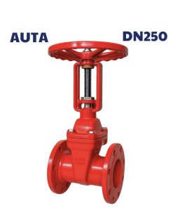 Van cổng ty nổi AUTA DN250