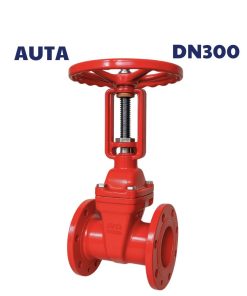Van cổng ty nổi AUTA DN300