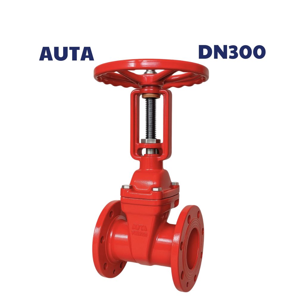 Van cổng ty nổi AUTA DN300