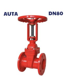 Van cổng ty nổi AUTA DN80